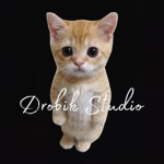 Drobik Studio