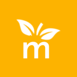 Mangoi