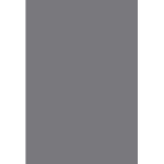 تيم رشاش
