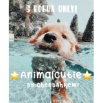 ~AnimalCutie~