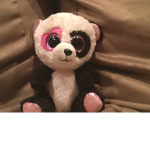 Panda loves group only