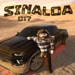 017 SINALOA Group Thumbnail