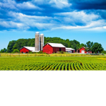 The Farm Resteraunt