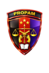 [PnT] Profesi dan Pengamanan