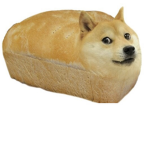 Doge Pro gamers