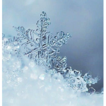 Snøwflakes!