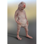 mole rats forever