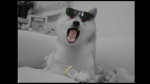 Weredoge Nation