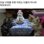 _차카게 삽시다