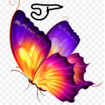 ~RAINBOW YEAR~