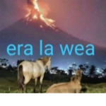 quiensos