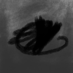 Forever Days (FD)