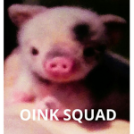 OI NK SQUAD