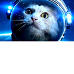 cat in space suit