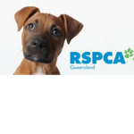 RSPCA [Animal helpers]