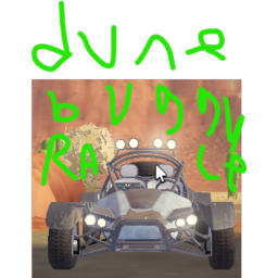 The dune buggy race