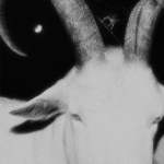 /hellrise