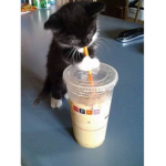 Last now cry later