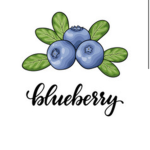 Blue berryz