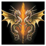 The Duelling Dragons