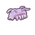 insect soap