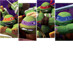 (Teenage Mutant Ninja Turtles) Fan Club