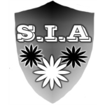 Stealth Intelligence Agency