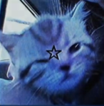 - asteroids -