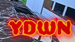 YDWN