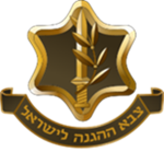 the magnivim