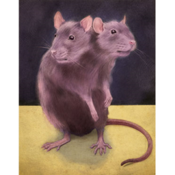 The Rat School
