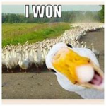 YT duckyy