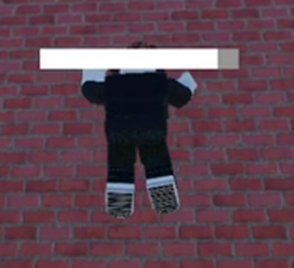 Climbing System