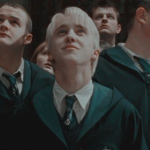 Dracos ferret