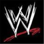 WWE rules