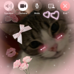 ୨୧ muffin ୨୧