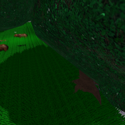 capture an animal super beta]