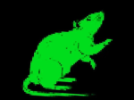 Grn.co