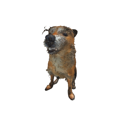 ropopo dog