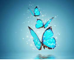 Butterfly Magic!!!