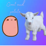 Goat and potato group