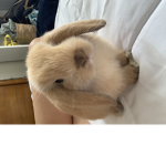 Honey bun <3
