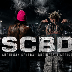Sudirman Central Business District (SCBD)
