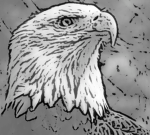 [GUSA] The Great United States of America