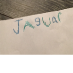 Jaguar is taken so how about jaguar yeet