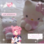 子猫