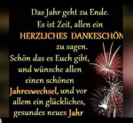Hunde ########