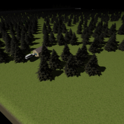 Survive in the forest (scary?)