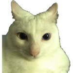 soft 64