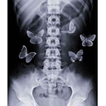 mariposa<3